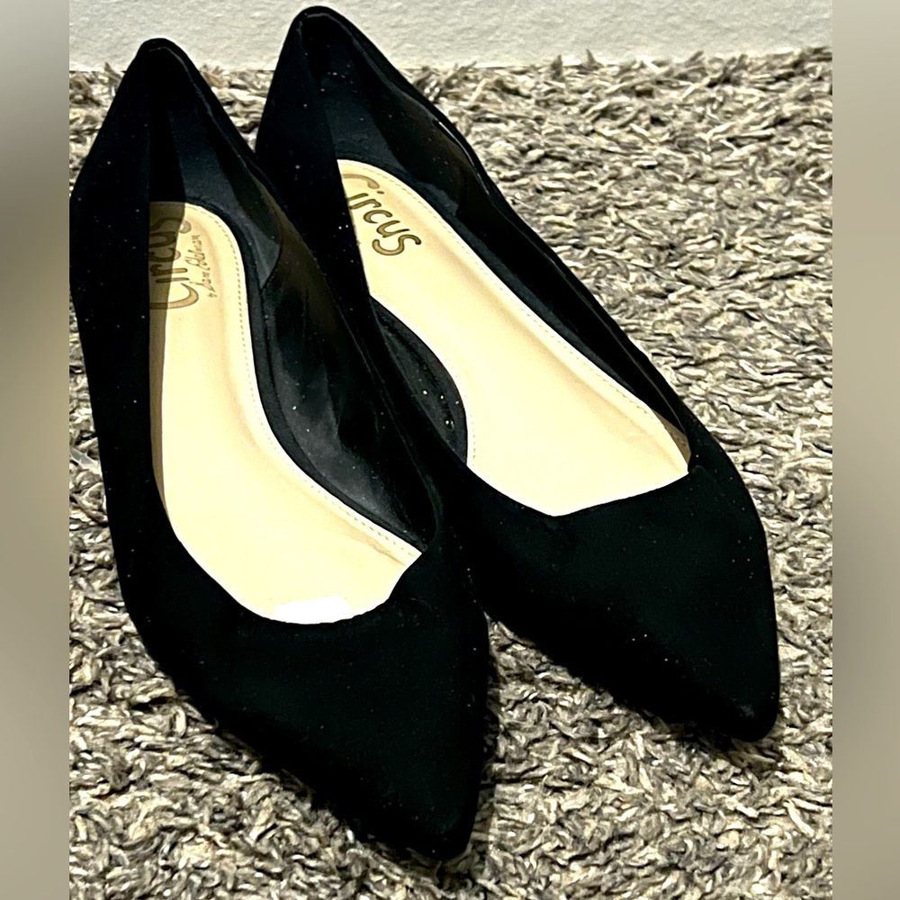 Sam Edelman pointy flats